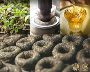 iTea - Supreme Xia Guan Tuo Cha Raw Puerh